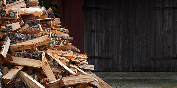 Pile of chopped firewood