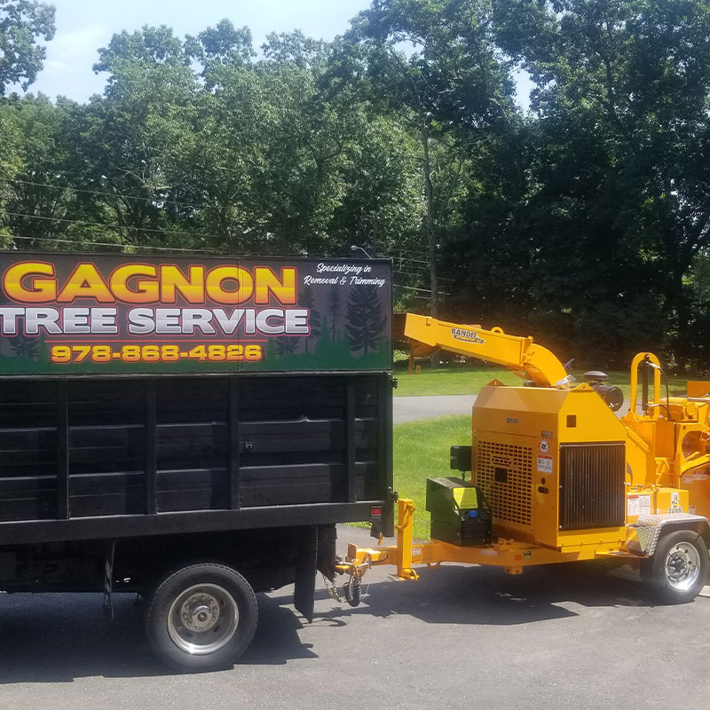 Gagnon-Tree-Service-2