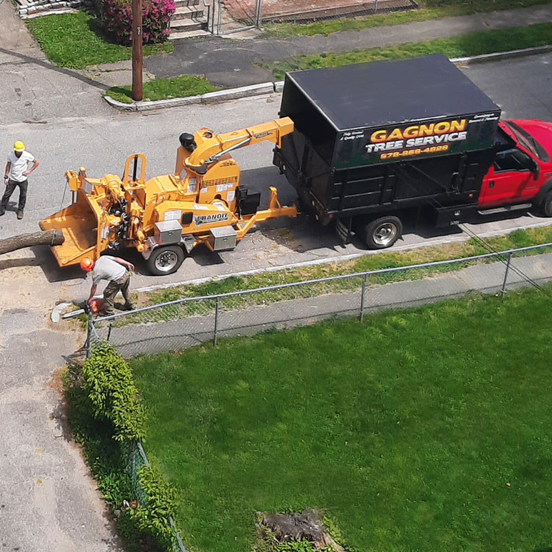 Gagnon-Tree-Service-3