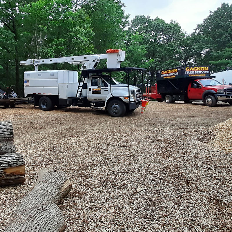 Gagnon-Tree-Service-6